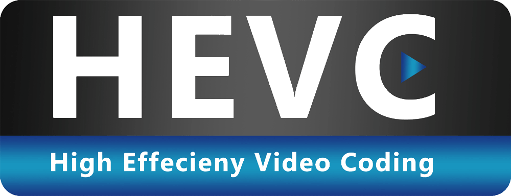 Logo dei codec video digitali: Windows Media, Real Video, DivX, Macromedia Flash, QuickTime, 3GPP, 3GPP2, MPEG-4, H.263, H.264, H.265, MPEG-1, MPEG-2, Microsoft DV, Video for Windows, DirectShow, vMP3, 3GP, ASF, AnimGIF, AVI, SWF, MPEG, WMV, MKV, RM, VOB, SVI
